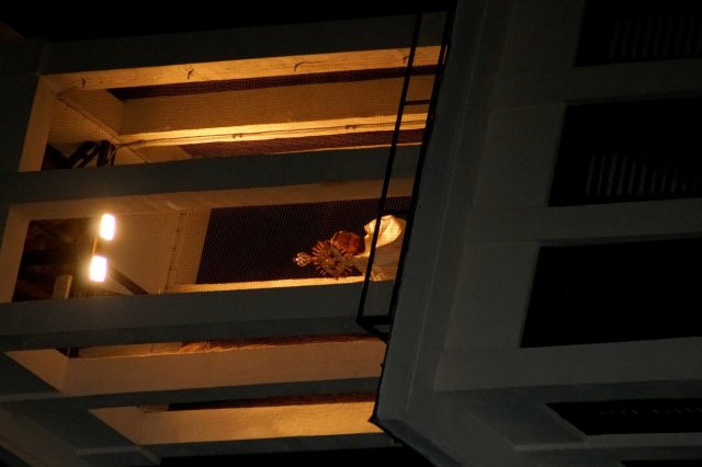 DSC01178_1